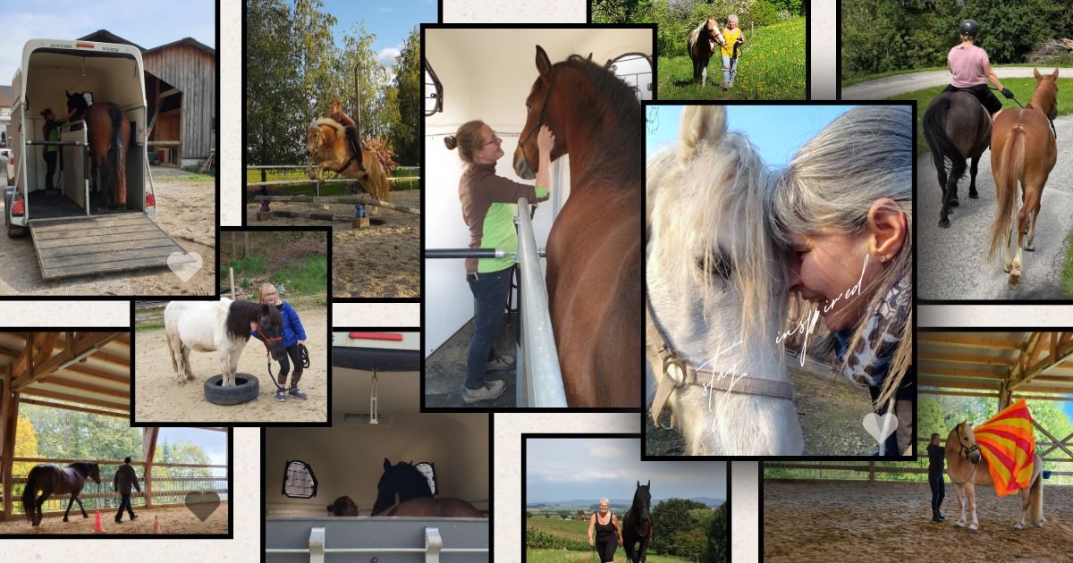 Kunden von Jasmin Rogatsch mit ihren Pferden – Bodenarbeit, Verladetraining, Reiten und vertraute Momente