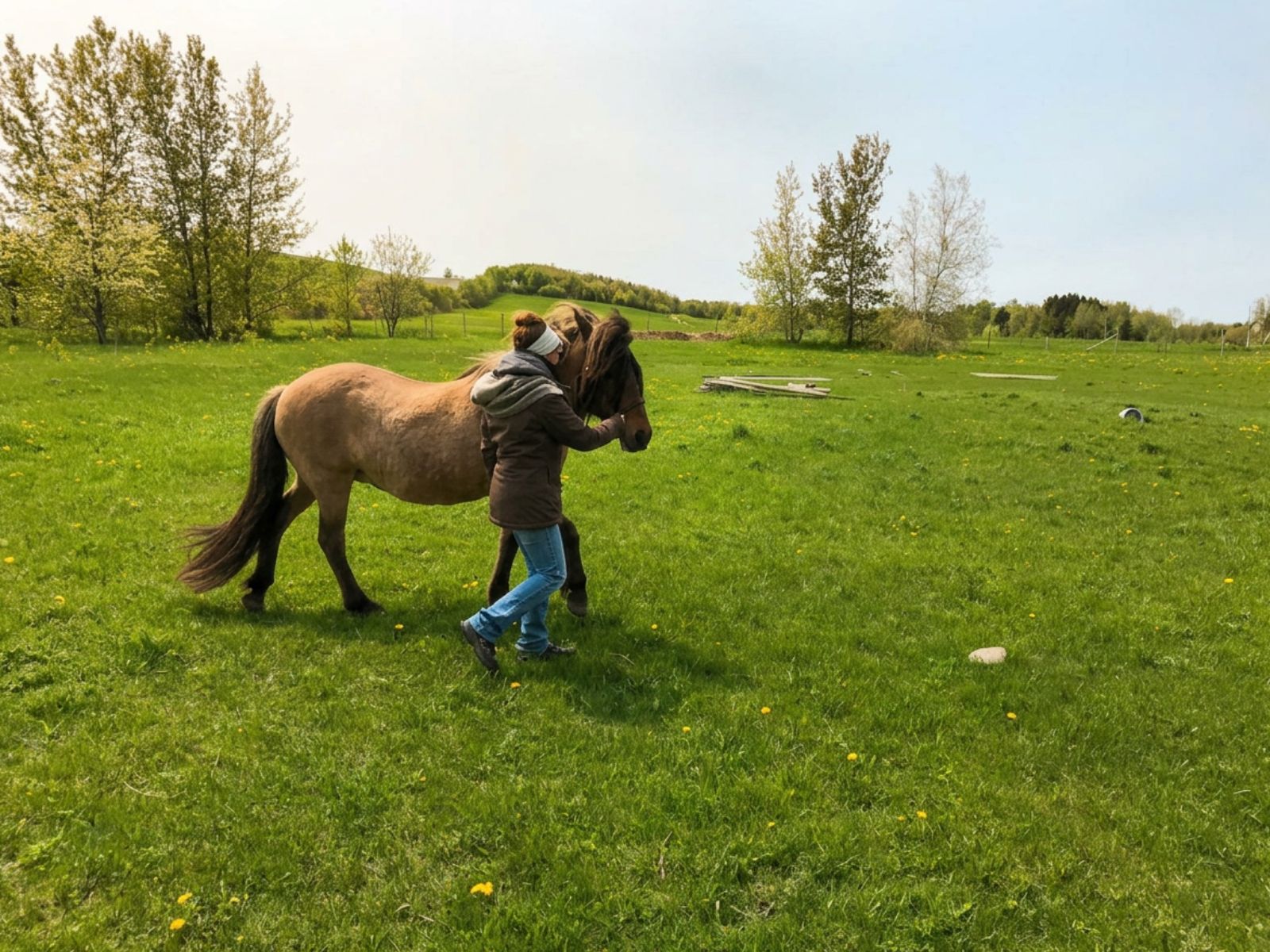 Jasmin Rogatsch bei der Bodenarbeit mit einem Pferd auf der Weide
