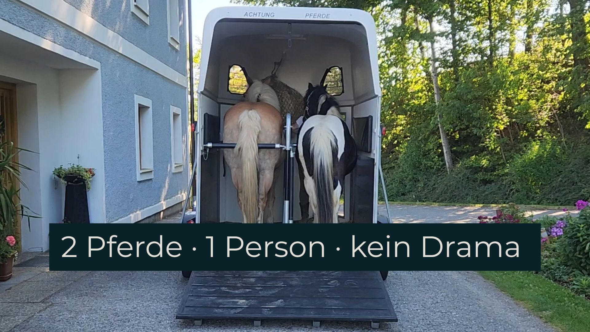Video: Zwei Pferde entspannt verladen – Verladetraining mit Jasmin Rogatsch