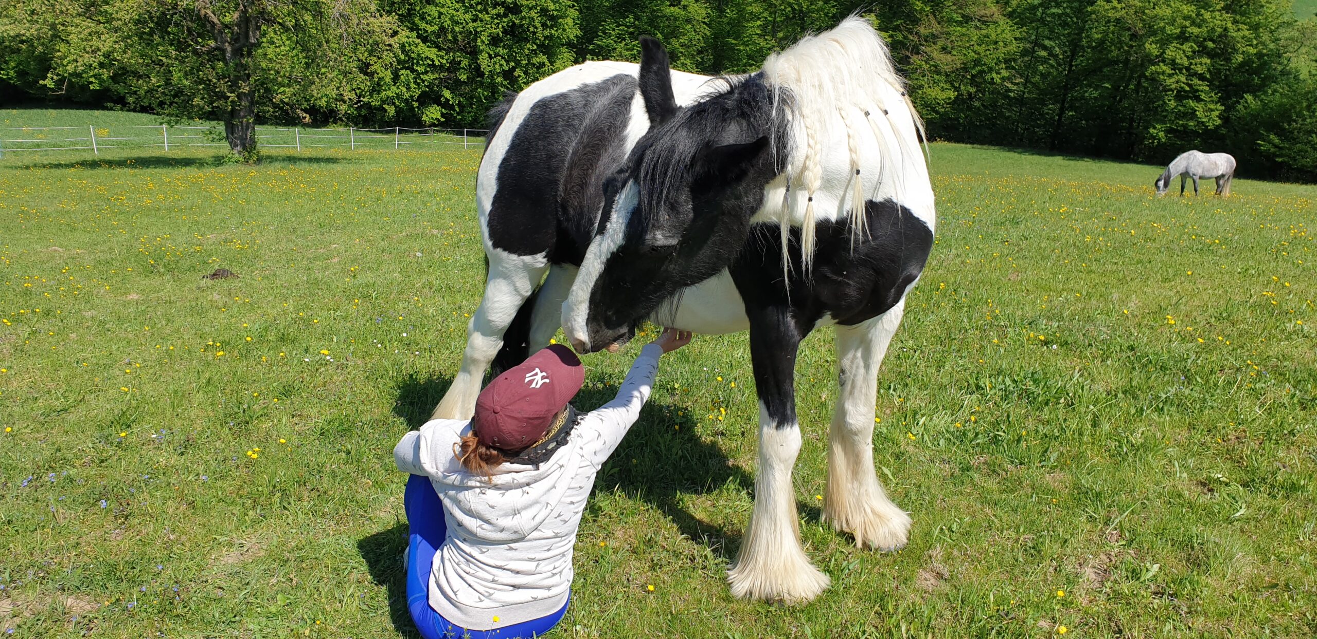 Jasmin Rogatsch sitzt auf der Wiese und krault ihr Pferd Angel, die beiden kraulen sich gegenseitig.